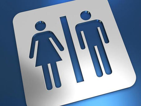 At last, the Missouloo!