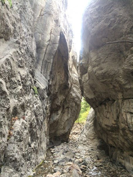 Trail Well Traveled – 7/13