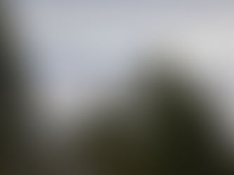 Trail Well Traveled – 6/2