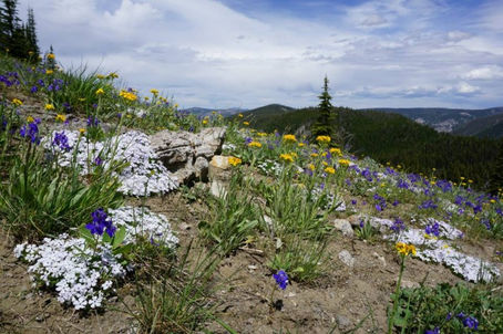 Trail Well Traveled – 8/24