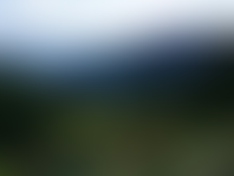 Trail Well Traveled – 11/18