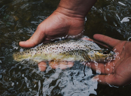 WIN a fishing trip for two!
