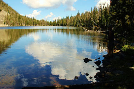 Trail Well Traveled – 6/15