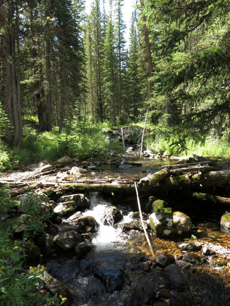 Trail Well Traveled – 10/19