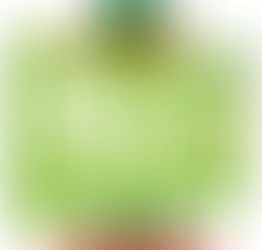 Join us downtown Saturday!