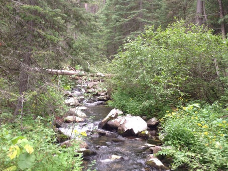 Trail Well Traveled – 9/16