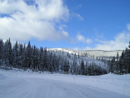 Trail Well Traveled – 12/2