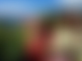 Trail Less Traveled – 4/29