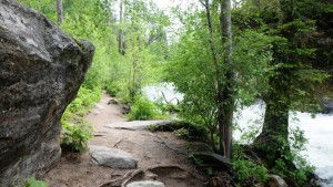 Trail Well Traveled – 12/1