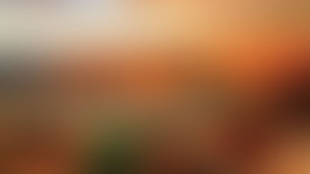 Trail Less Traveled – 6/24