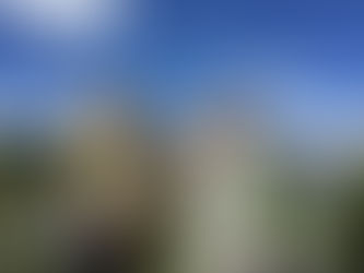 Trail Less Traveled – 5/20