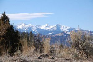 wmt564f99a57d3267d64