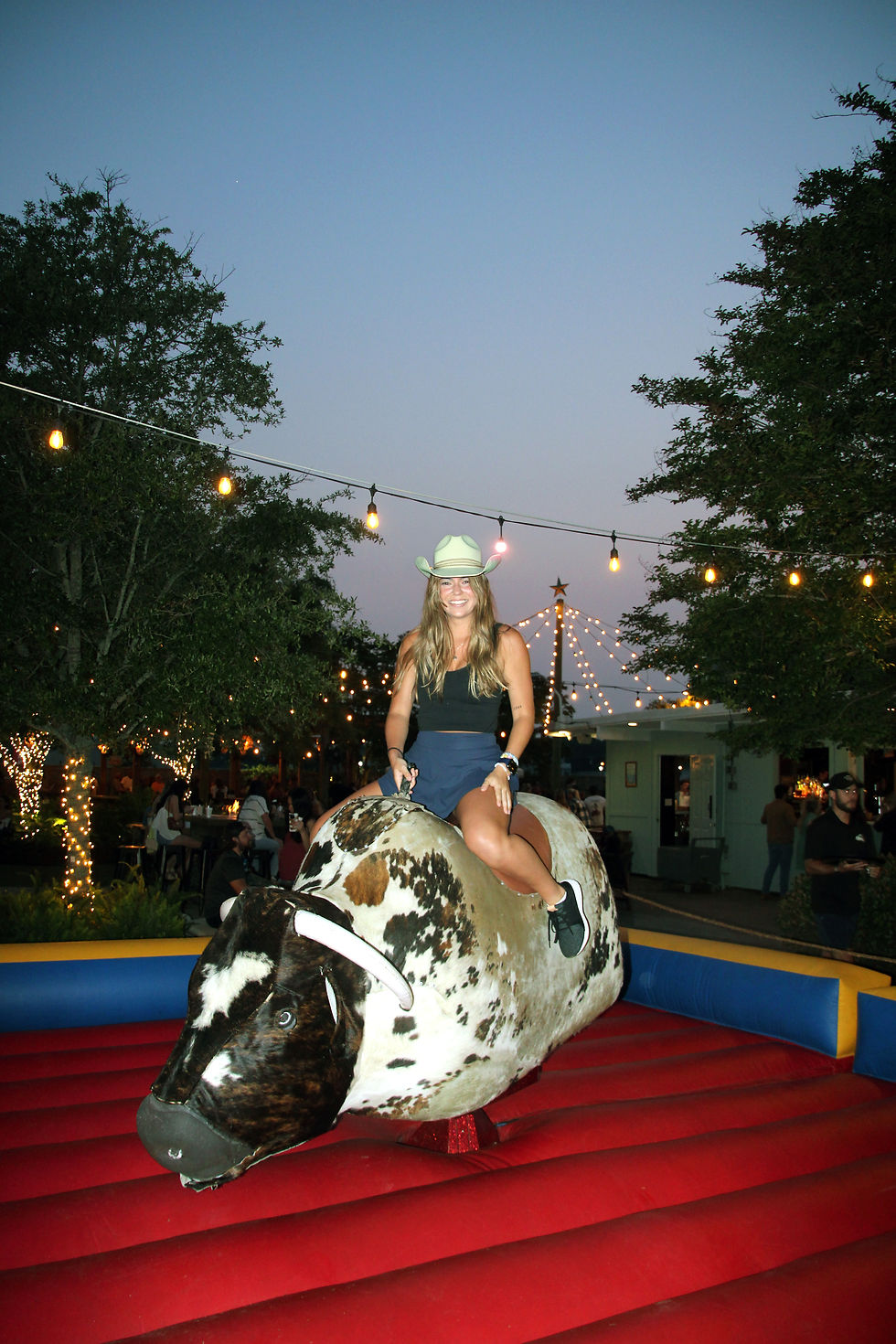 Country Night