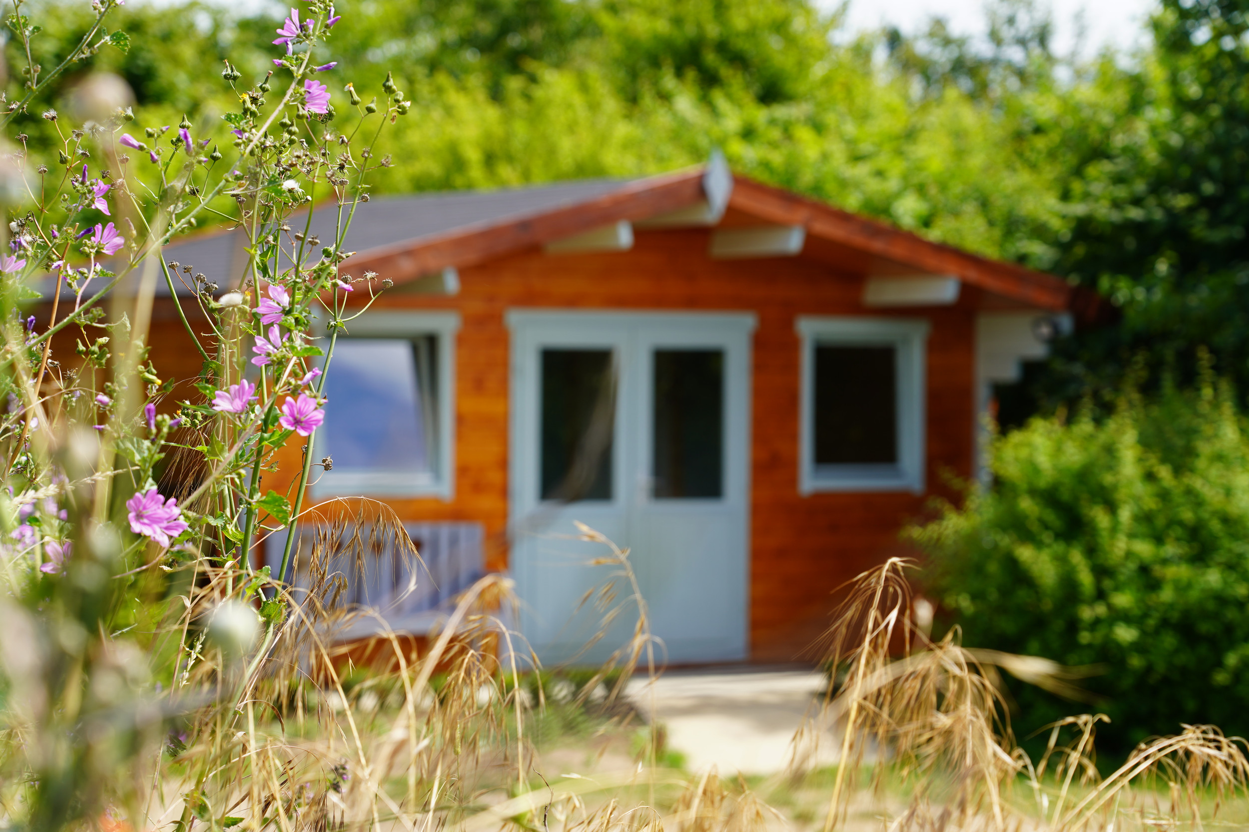 Suffolk Ear Care Ear Wax Removal Specialist Affordable, safe and prompt appointments