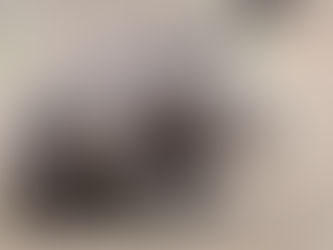 A Model of Incentives for the Illegal Exploitation of Black Rhinos and Elephants: Poaching Pays in L