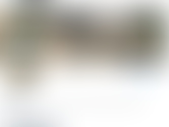 Final Twitter Update