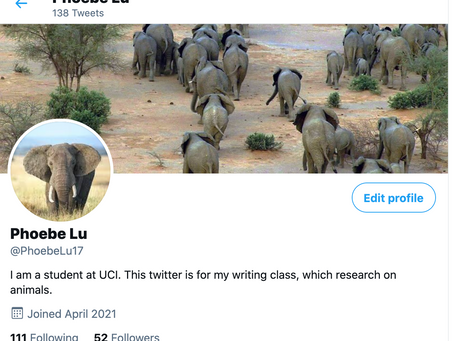 Final Twitter Update