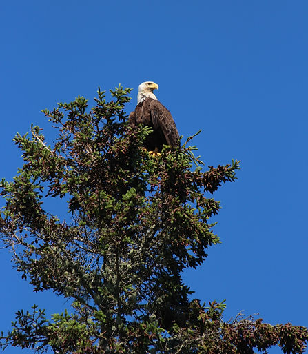 IMG_6971_edited.jpg