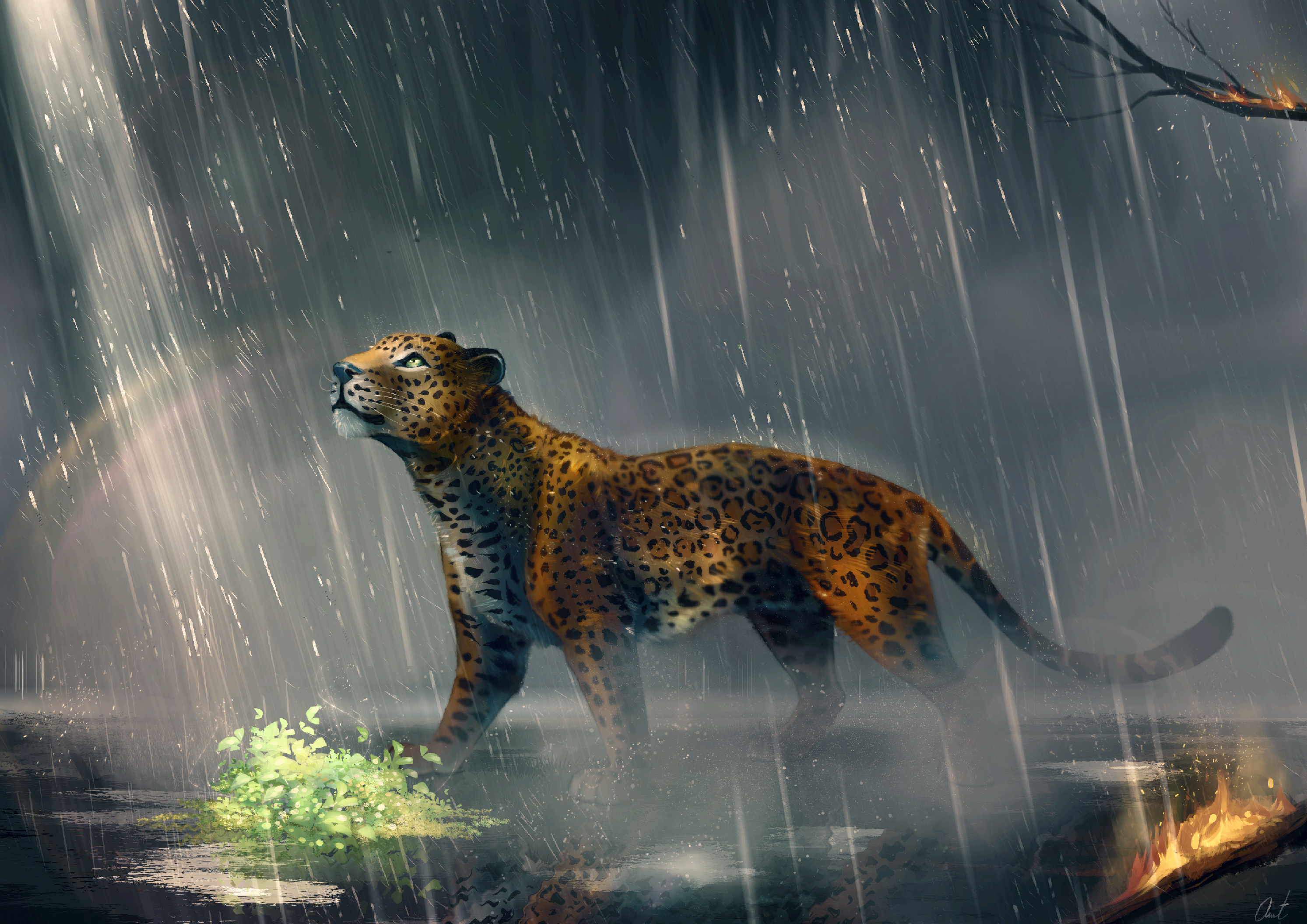 A tribute to the Amazonia