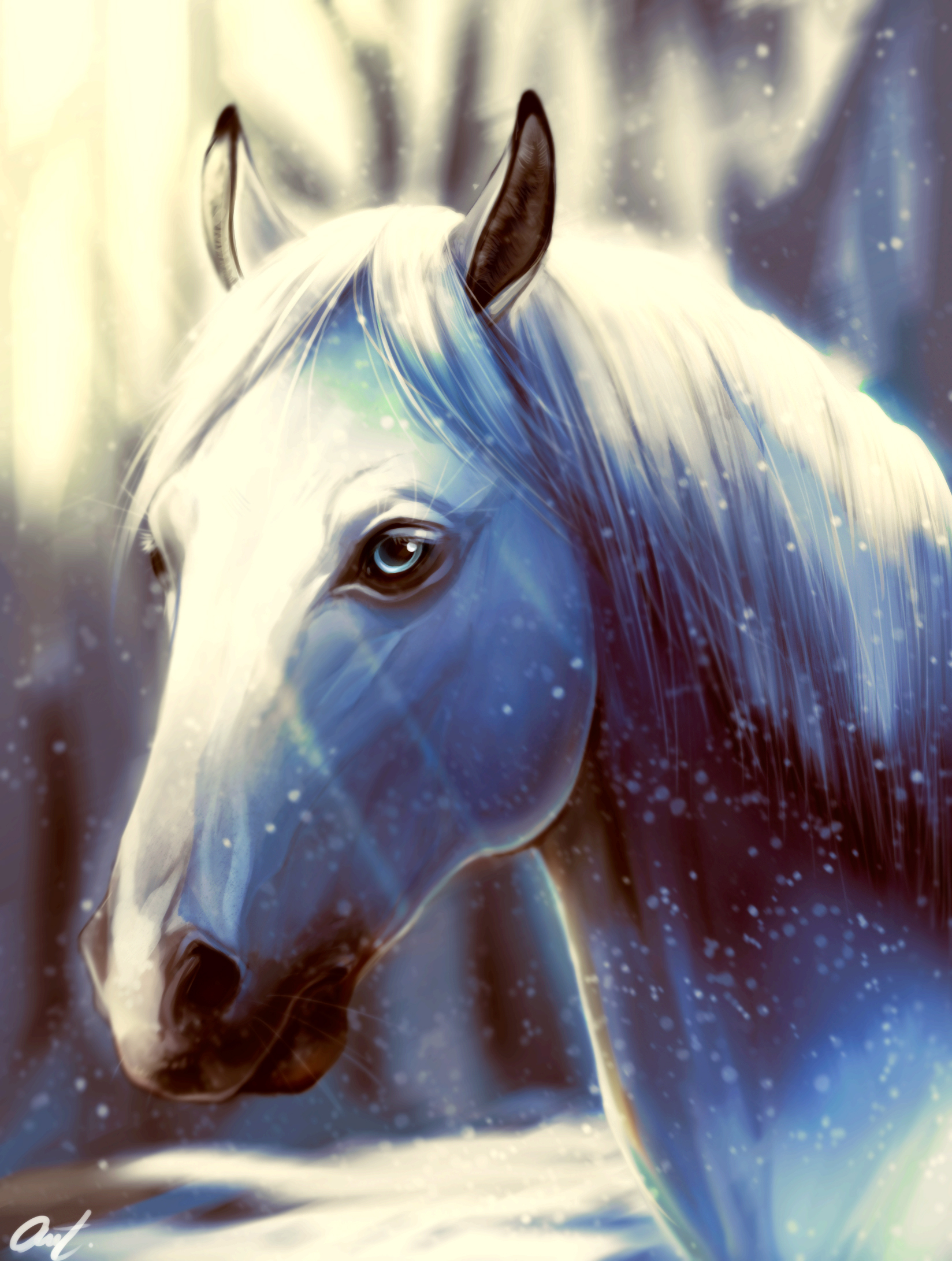 Winter Horse
