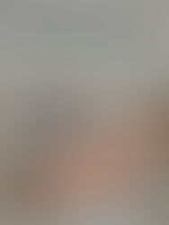 一本《紀伯倫之歌》