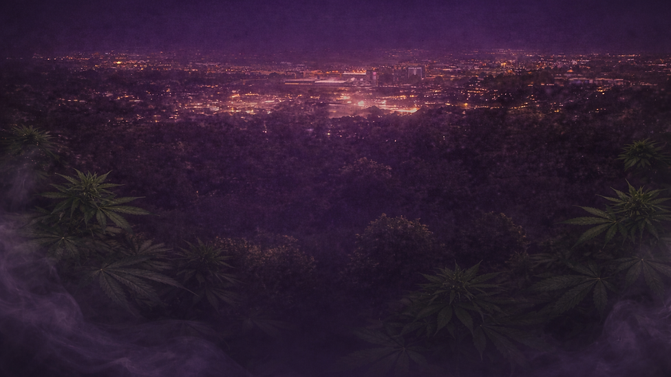 background.png