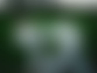 Tom Wynne and the Martial Mindset