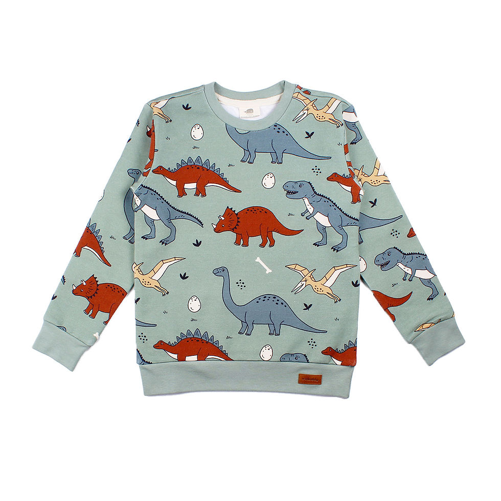 Sweater Funny Dinosaurs FD-222 von Walkiddy