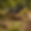 ChatGPT Image Dec 26, 2025, 04_35_21 PM.png