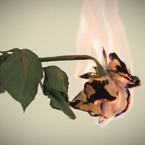 BURN TREATMENT.
