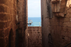 IMG_5862.JPG