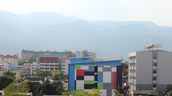 IMG_8426.jpg