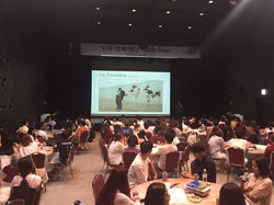 벽면 설치 미술