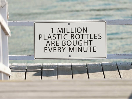 Facts with Plastic Free Beaches