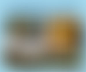 Сорокова річниця Чорнобильської катастрофи