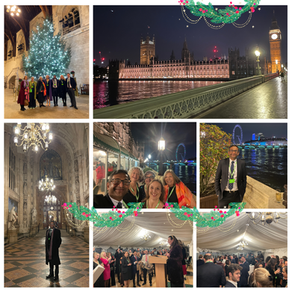 Festive Business Leader Drinks at the Houses of Parliament