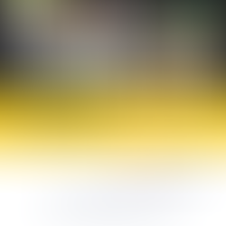 The FD Consultant presents to the Connect Network