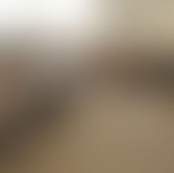 A Terra Treme no AERNP