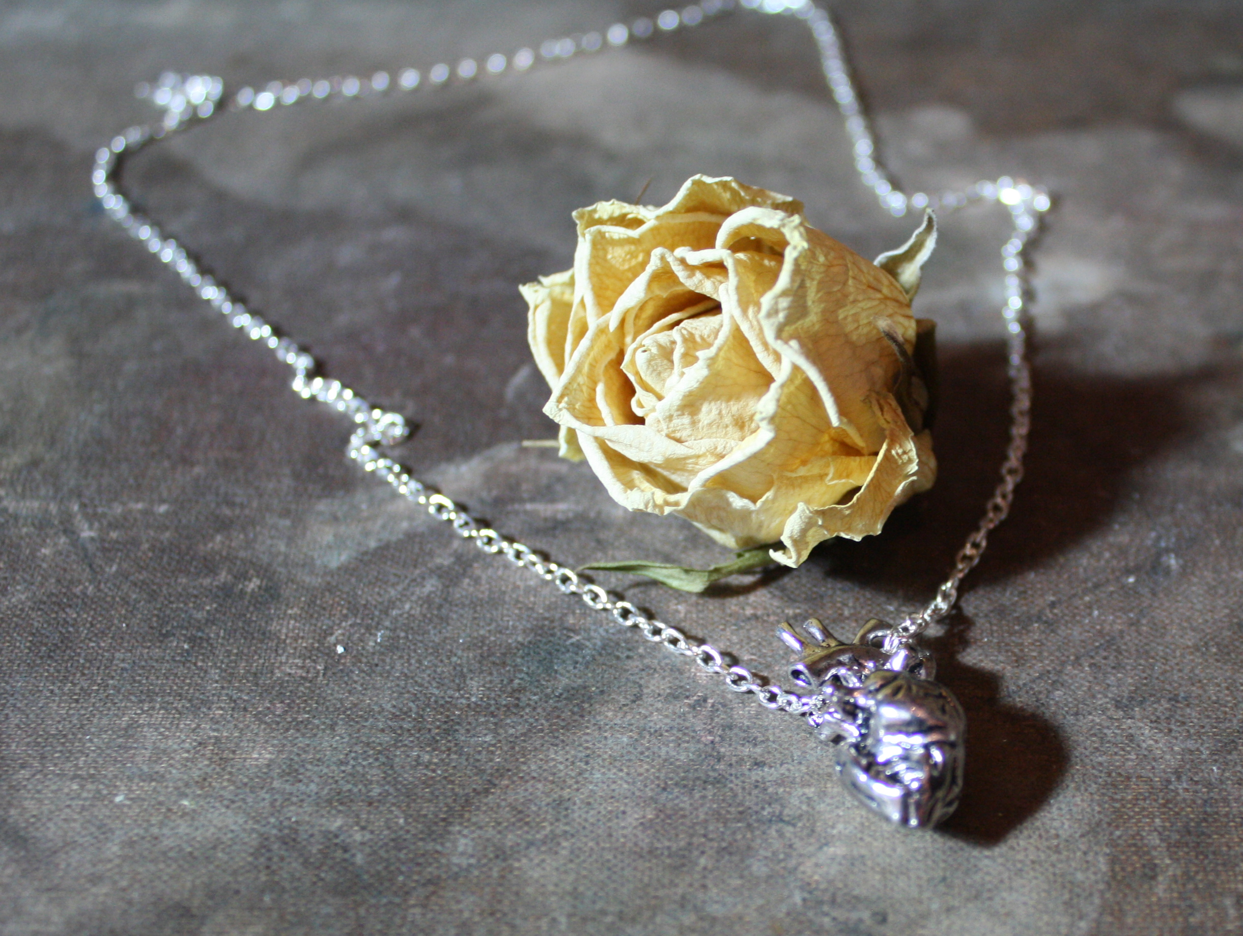 anatomical heart necklace