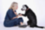 Steph, certified dog trainer in West London, working with Bandit during training session.j