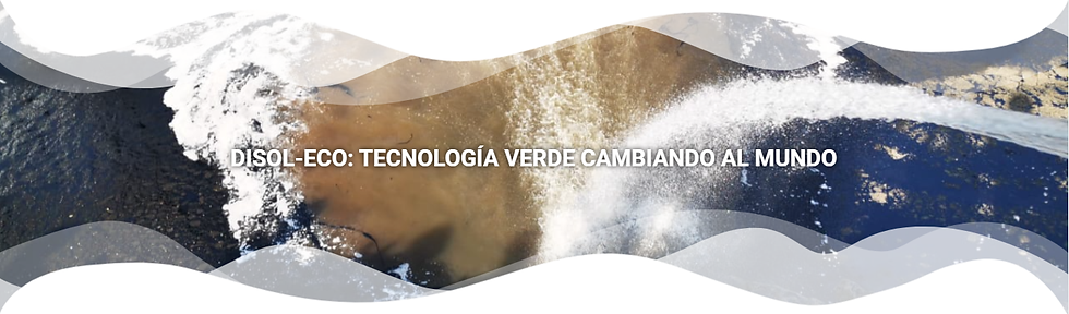 disol eco banner.png