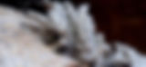 main pic1_edited.jpg