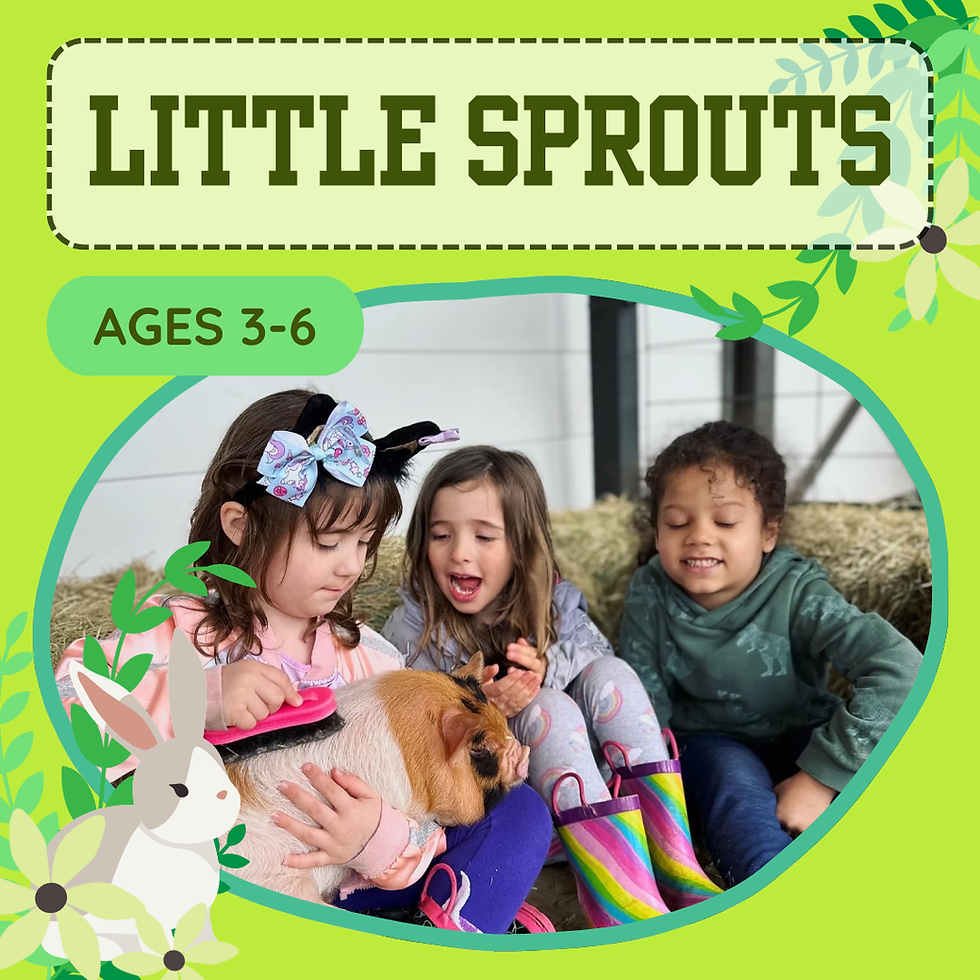 Open House - Little Sprouts (Ages 3-6)