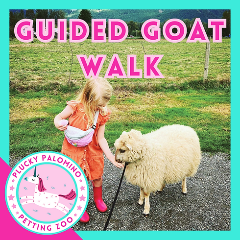 Guided Goat Walk