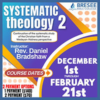 SYSTEMATIC THEO 2 OPTIONS.jpg