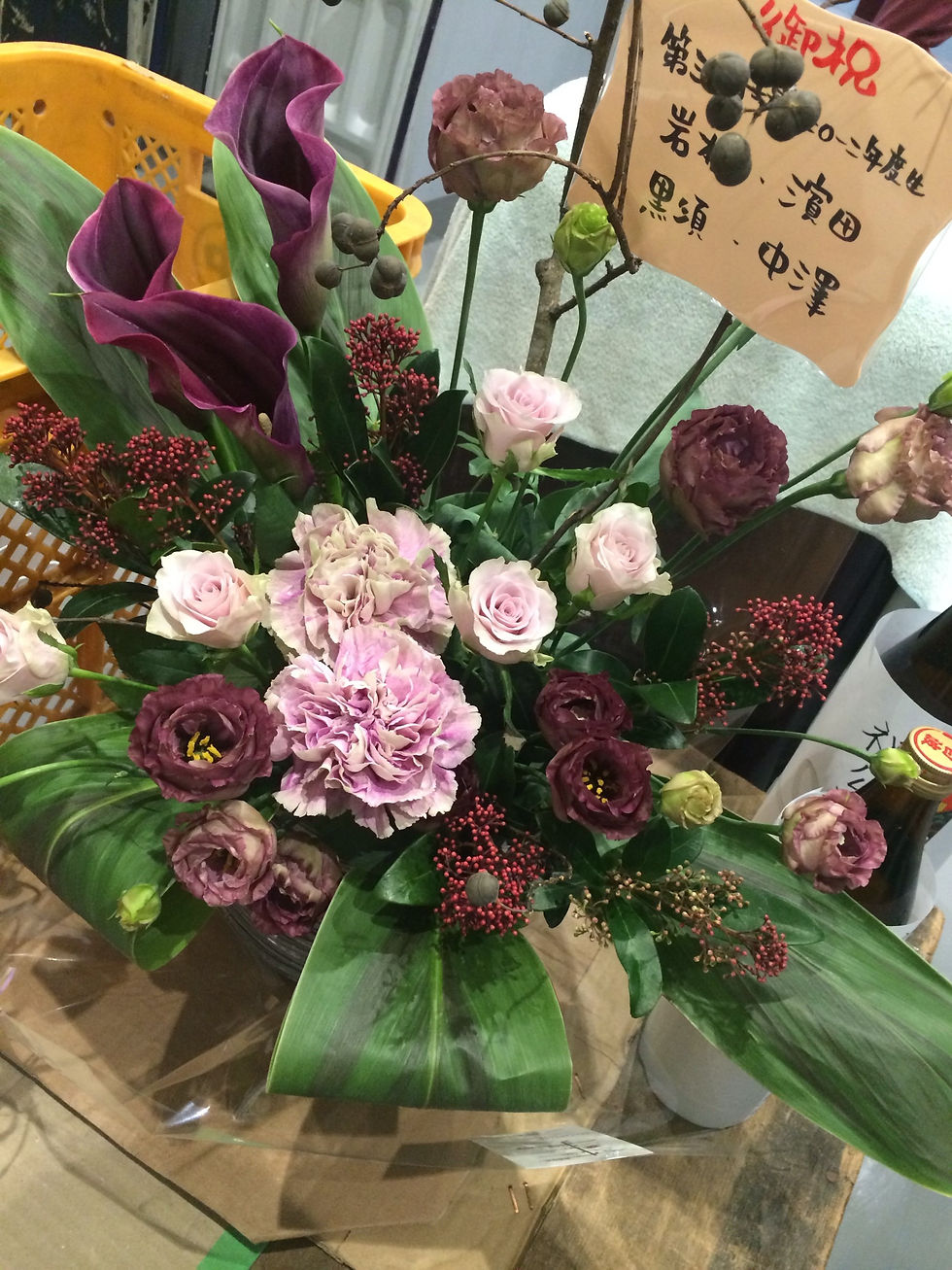 ほ☆お☆る☆し☆ゅ☆う_170203_0470