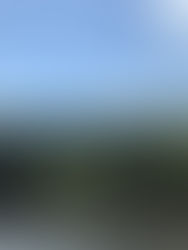 a blurry window shot from a moving vehicle of greenery and a blue sky with rain drops still stuck to the window