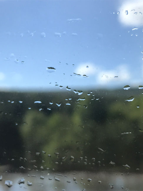 a blurry window shot from a moving vehicle of greenery and a blue sky with rain drops still stuck to the window
