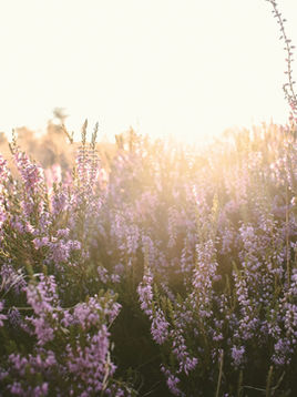 Bless the Lord, O My Soul