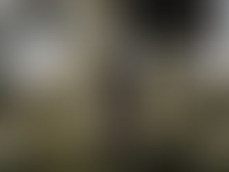 Wait. Listen. Then Proceed.